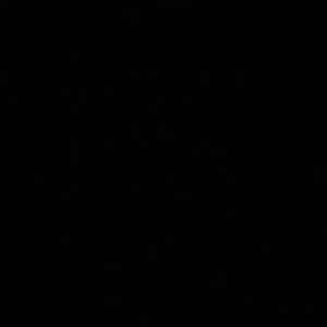 Meet your Posher, Terrell